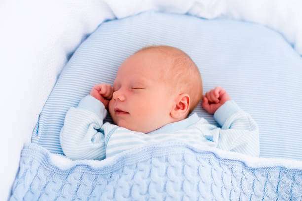 Image showing baby bassinet 2